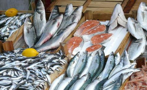 水產(chǎn)品 海洋與河流的饋贈