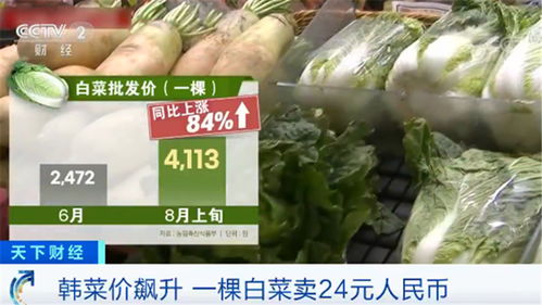 韓國民眾叫苦不迭 菜價水產(chǎn)品價格一路飆升，生活壓力陡增