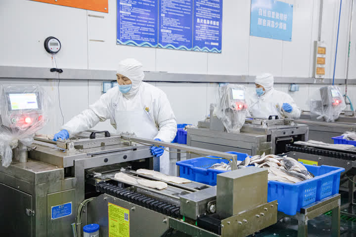 開辟綠色生命通道，海安中洋集團200噸水產(chǎn)食品馳援上海保供穩(wěn)鏈