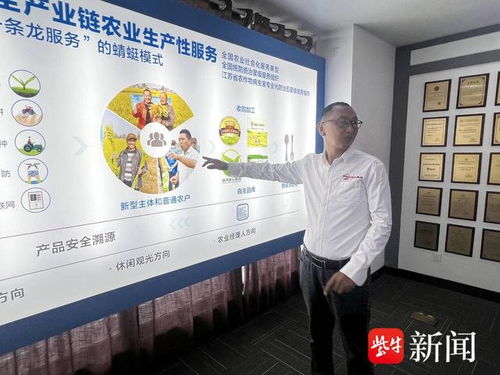 數(shù)智養(yǎng)豬場 AI管家全天候守護(hù)，教育咨詢開啟智能養(yǎng)殖新篇章